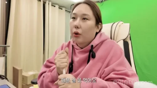 풍자